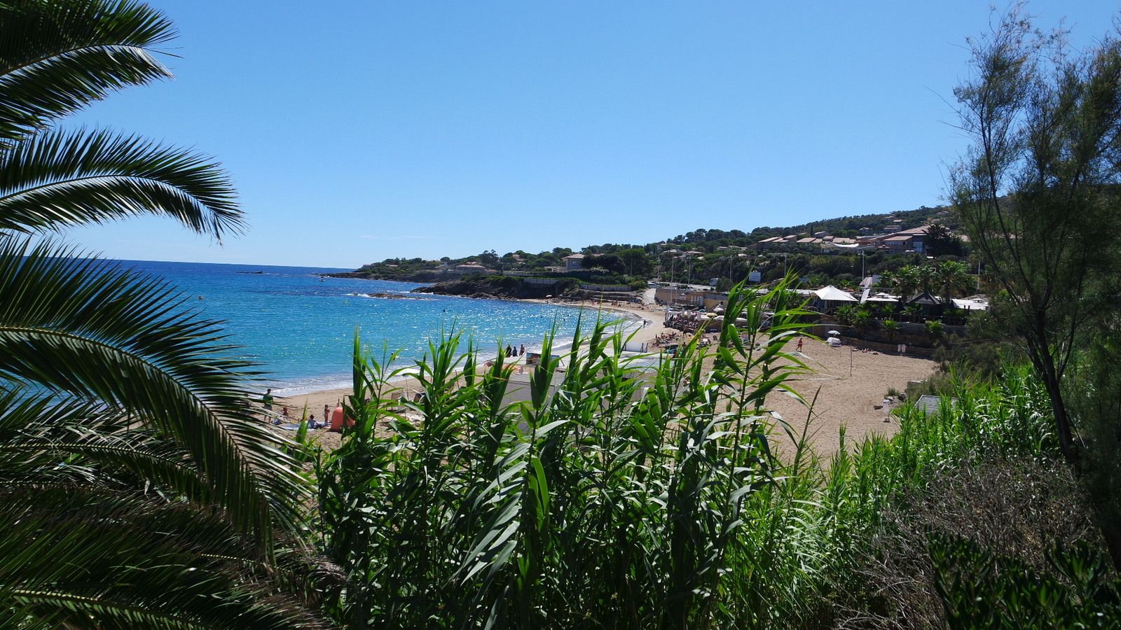 Ein Strand mit klarem, blauem Wasser, umgeben von grüner Vegetation und Gebäuden im Hintergrund.