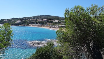 Playa