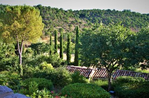 Lägenhet (Calcite) | Utsikt mot trädgården