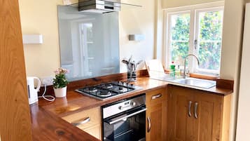 Rumah Keluarga, 2 Tempat Tidur Queen, Bebas Asap Rokok, pemandangan kota | Dapur pribadi | Lemari es, microwave, oven, dan kompor