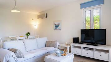 Smart TV, DVD player, books, stereo