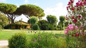 Un jardín con una casa, abundante vegetación y plantas florecientes.