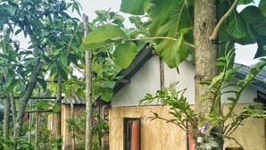 Exterior - Tiddin Resort & Garden (Doi Saket)