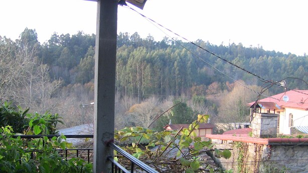 Un balcón con vistas a una ladera boscosa, un muro de piedra y un edificio con techo rojo.
