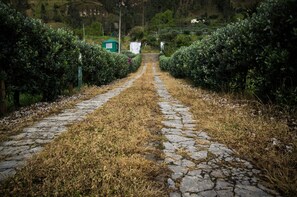 Entrada da propriedade