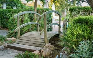 Garden - Hostal Restaurante Rijujama (Matillas)