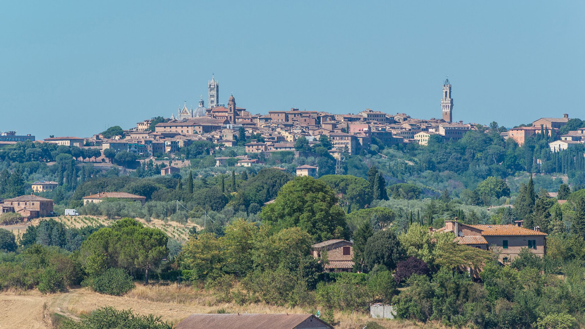 Eine historische Stadt mit einem markanten Kirchengebäude und zwei Türmen, umgeben von üppiger Vegetation und terrassenförmig angelegten Weinbergen.