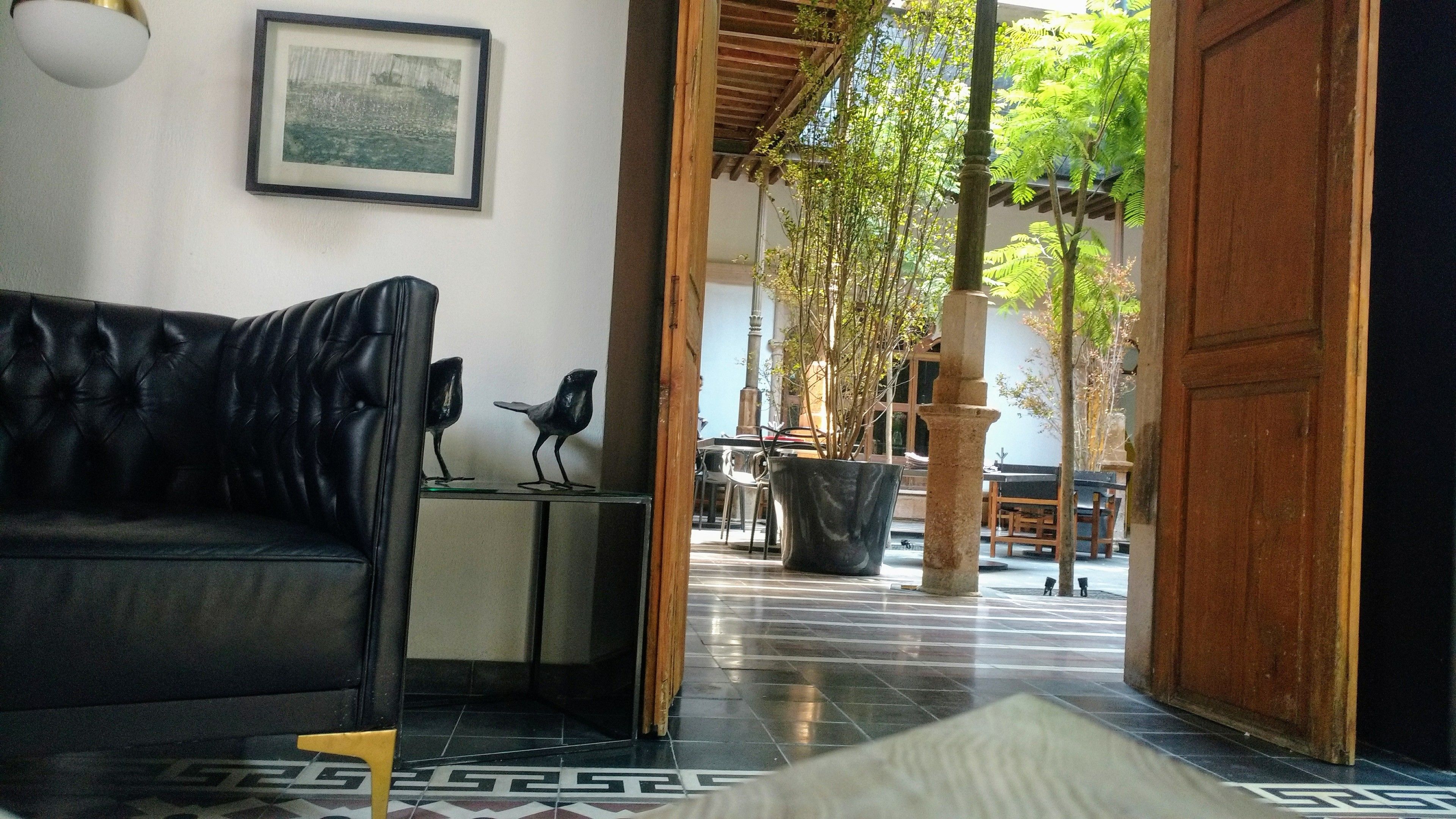 A room with a black leather sofa, a framed picture on the wall, a potted plant, and a tiled floor.