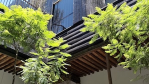 A modern building with large windows and a wooden facade. There are green trees in front of the building. - Elena de Cobre, Leon, a Member of Design Hotels (León)