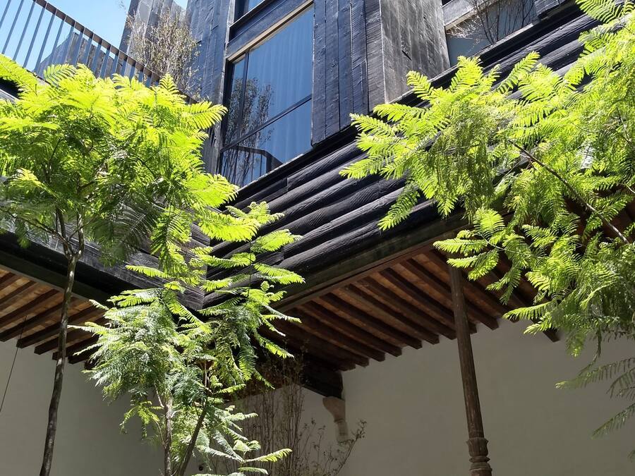 A modern building with large windows and a wooden facade. There are green trees in front of the building.