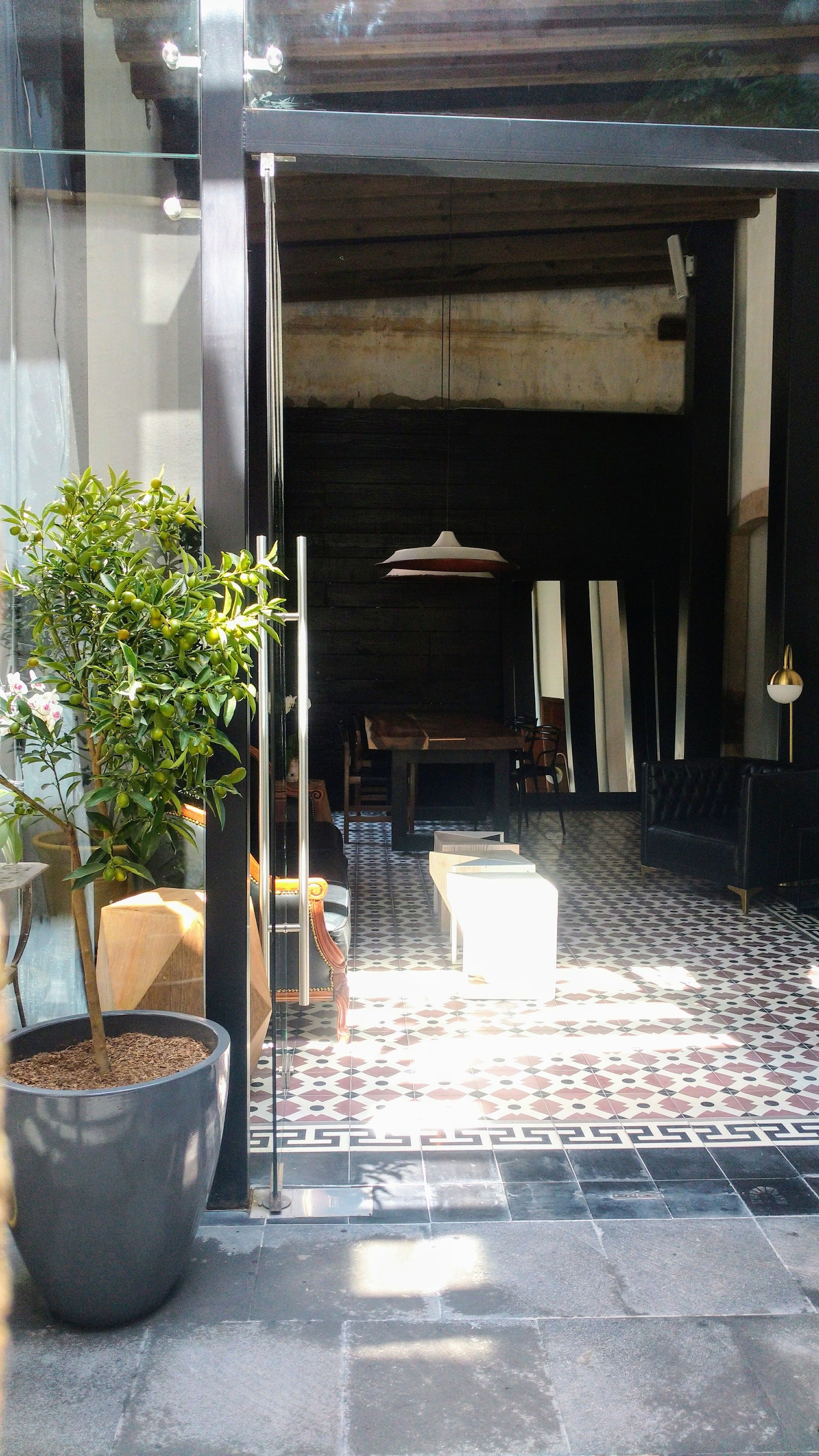 A modern interior with a dining area, a large potted plant, and a patterned floor.
