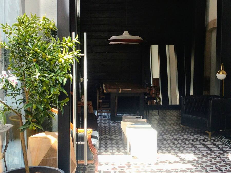 A modern interior with a dining area, a large potted plant, and a patterned floor.