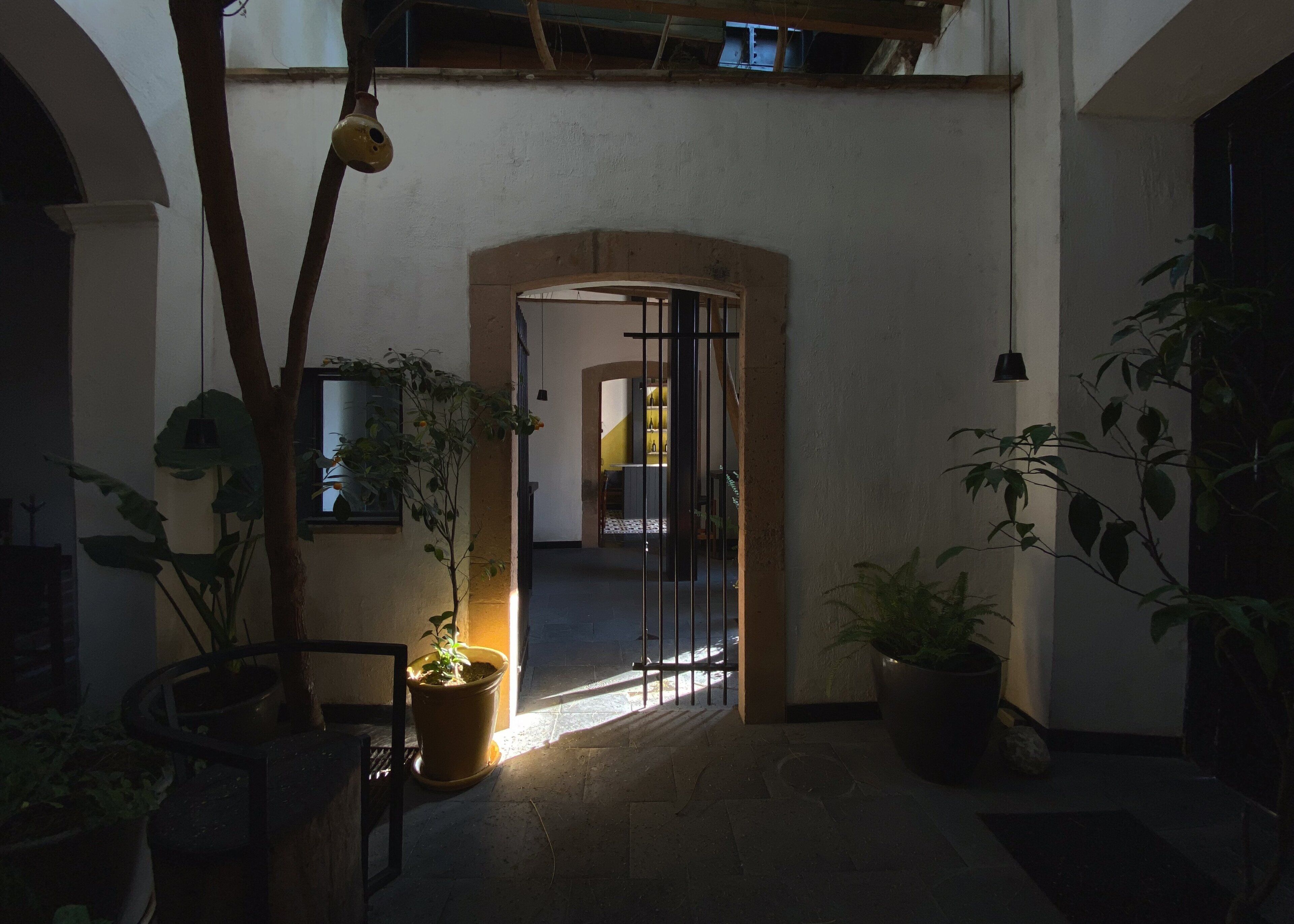 Un couloir intérieur avec une porte en bois donnant sur une pièce, qui est entourée de plantes en pot et d’un luminaire suspendu.