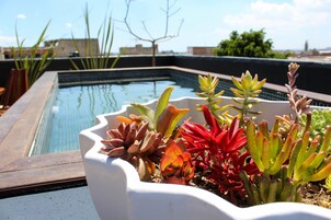 Private Pool Suite | Terraza o patio