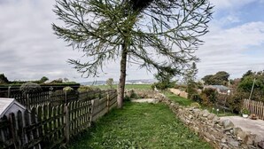 Une zone herbeuse bordée d’un mur de pierres et d’une clôture en bois.