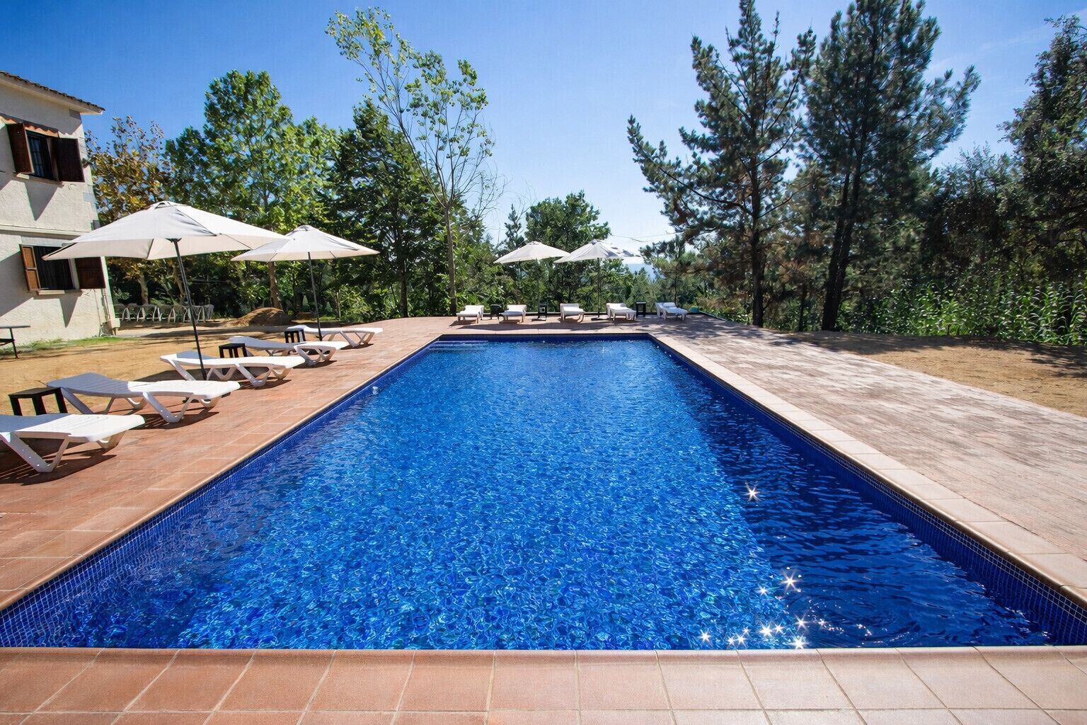 Une piscine rectangulaire à l’eau d’un bleu cristallin, entourée de chaises longues et de parasols, avec en arrière-plan des arbres et un bâtiment.