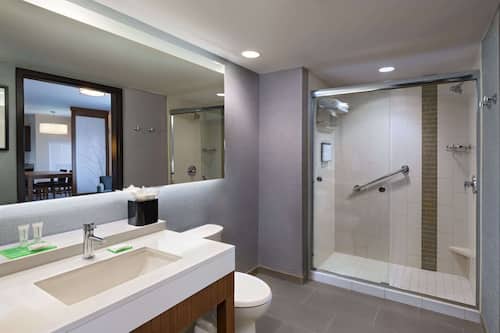 Suite, 1 King-Bett und Schlafsofa | Badezimmer | Hydromassagedusche, Designer-Toilettenartikel, Haartrockner, Handtücher