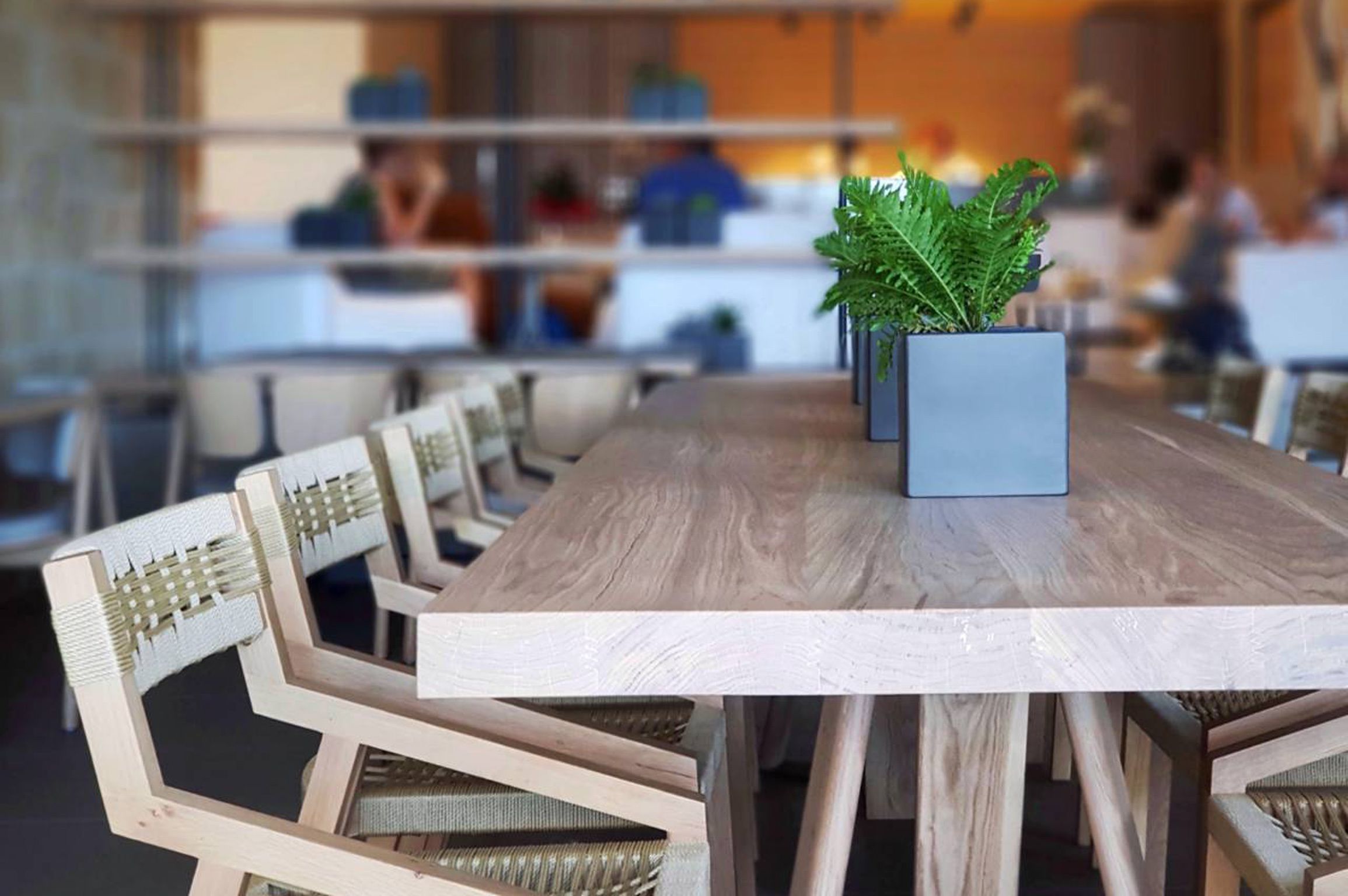 A dining area with a long wooden table, chairs with woven backs, and a potted plant on the table.