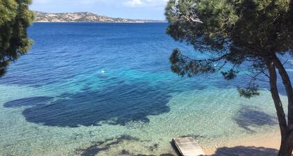 PALAU asunnot New! Lähellä rantaa ja keskustan. Asuntolassa POOL!