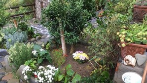 Un jardín con diversas plantas y un sendero de piedra.
