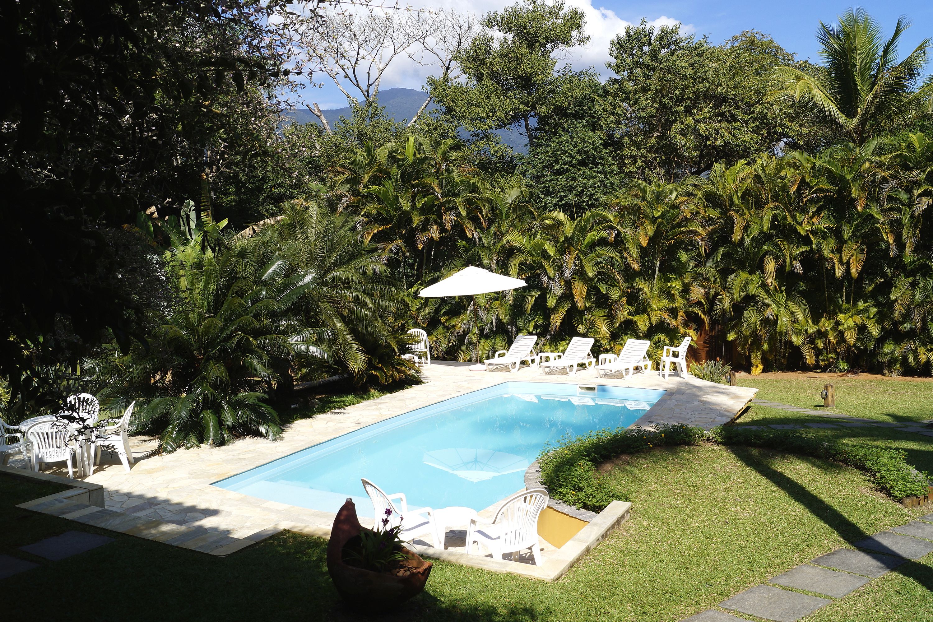 Una piscina con sillones de descanso y sombrillas, rodeada de vegetación exuberante y palmeras.