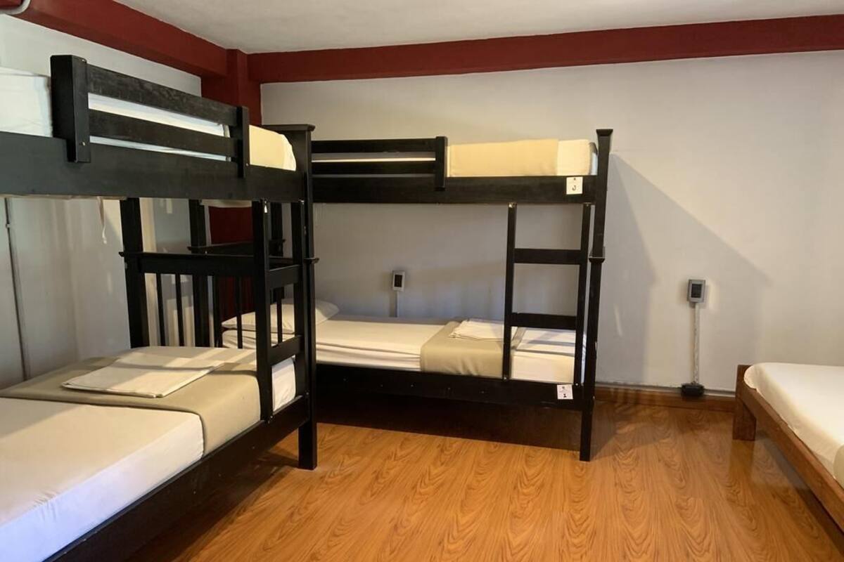 Classic Shared Dormitory, Mixed Dorm