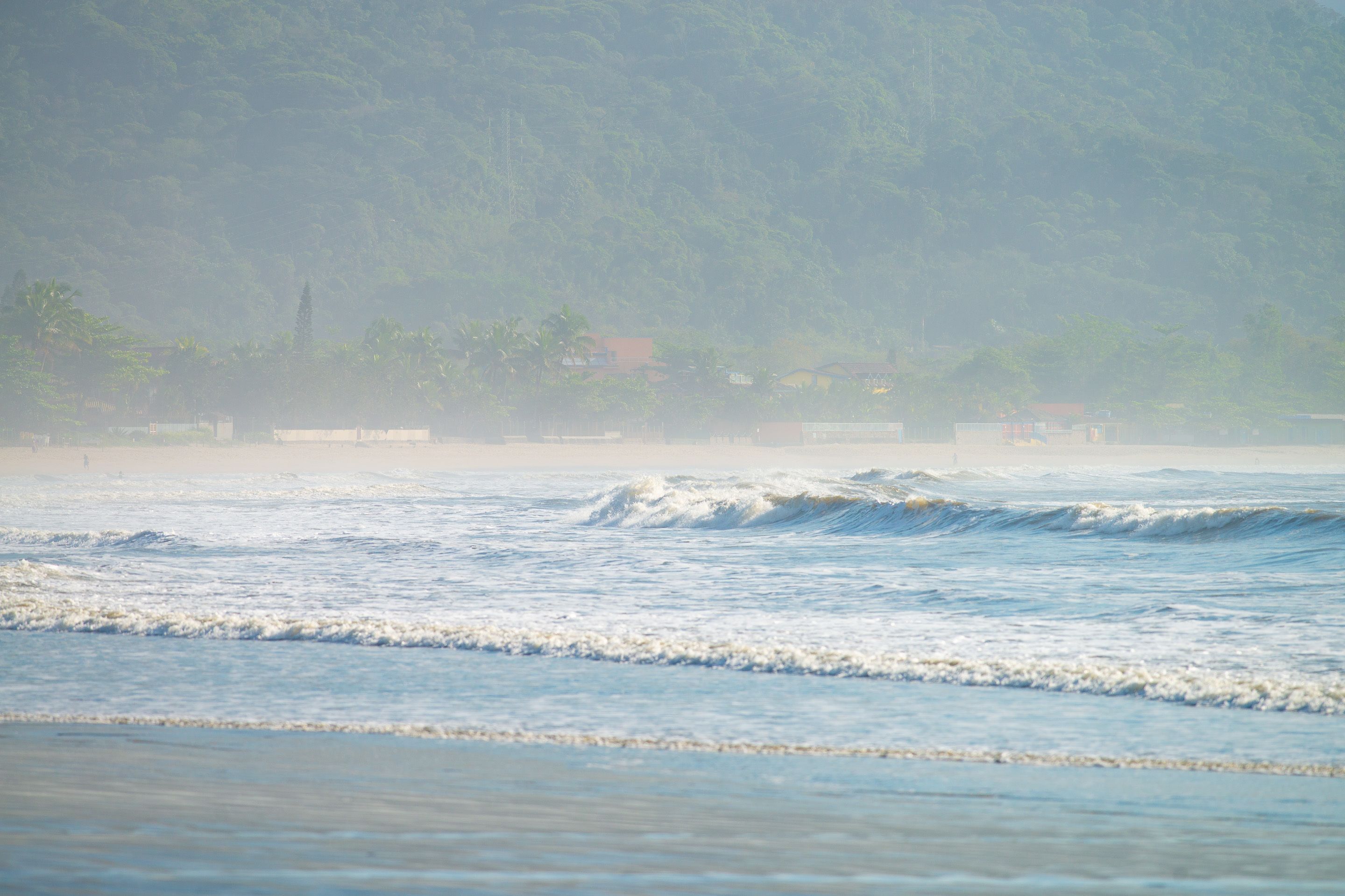 Una playa con olas y una colina boscosa al fondo.
