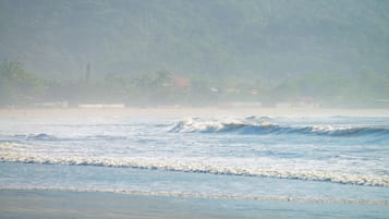 Una playa con olas y una colina boscosa al fondo.