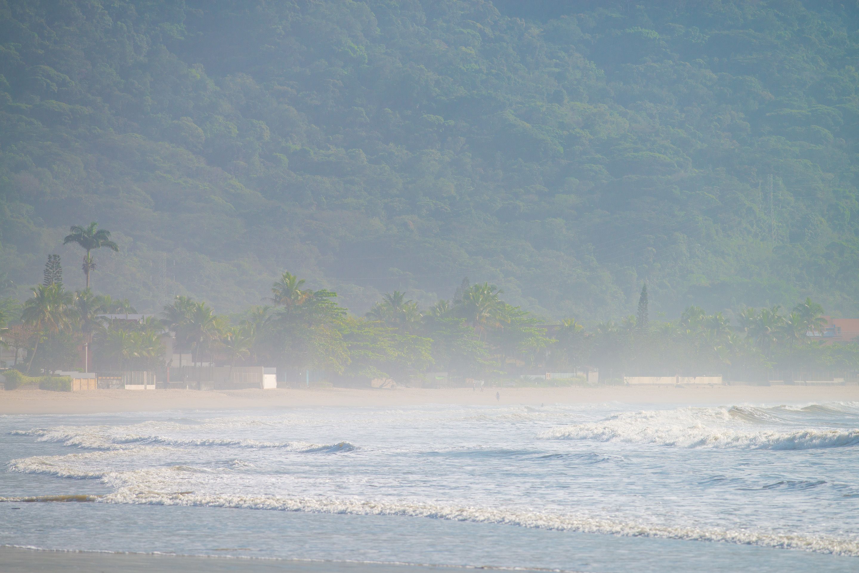 A beach with waves, palm trees, and a forested hill in the background.