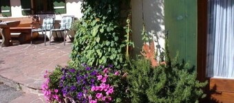 Lejlighed Reiteralpe, 1-2 personer, 32 kvm, bad / toilet, balkon, tv, 1 soveværelse, ikke-ryger, sydvest