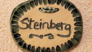 A brooch with the word "Steinberg" and a decorative element.