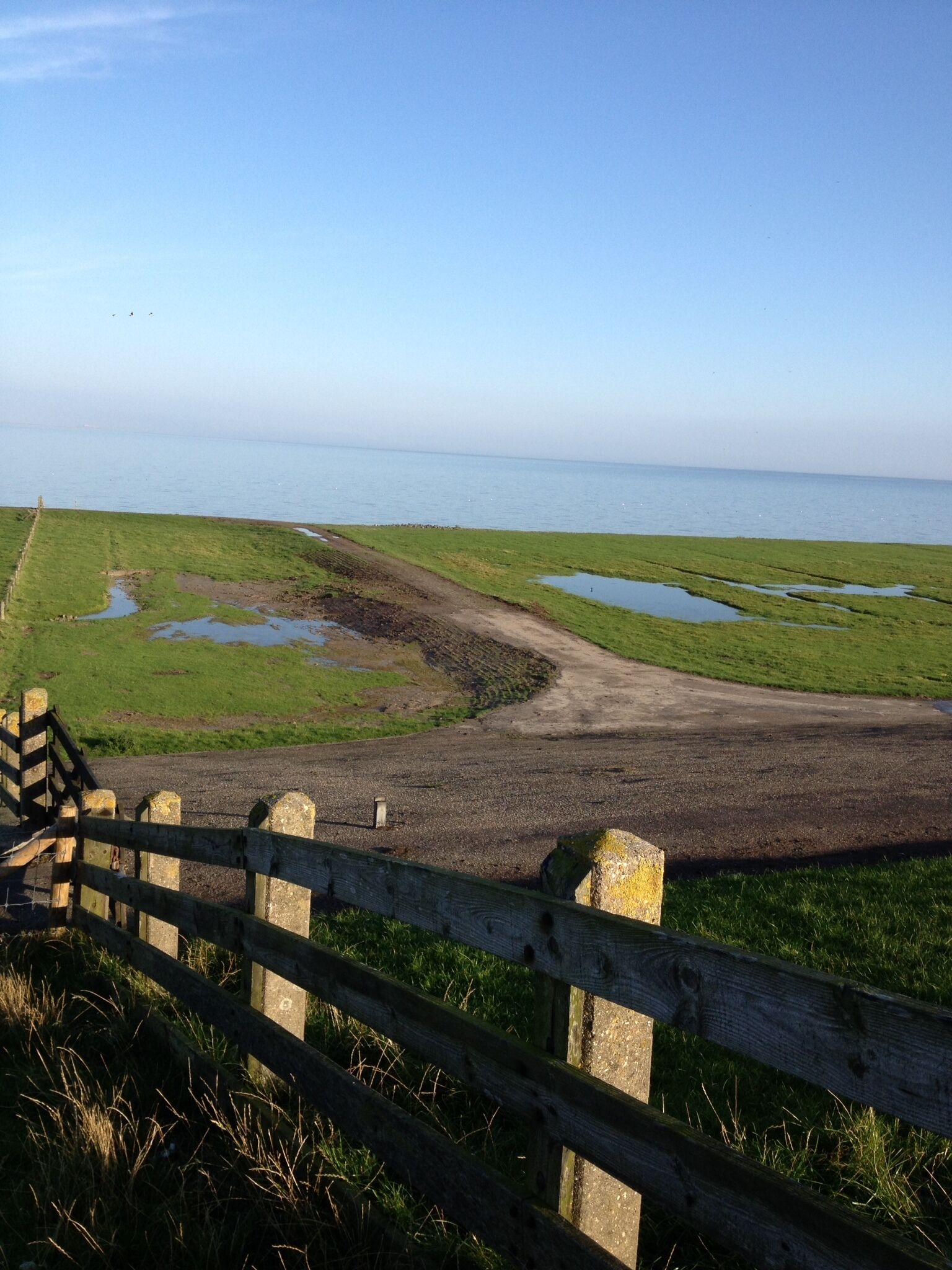 A coastal landscape with a wooden fence, grassy areas, and a dirt path leading to the sea.