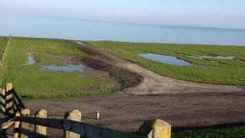 A coastal landscape with a wooden fence, grassy areas, and a dirt path leading to the sea.