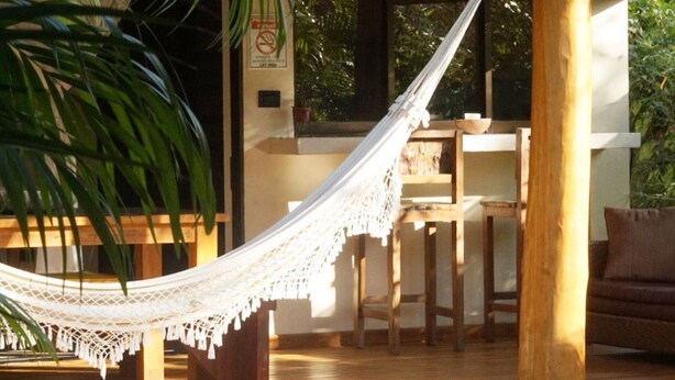 Una hamaca en una habitación soleada con piscina, muebles de madera y una planta grande.