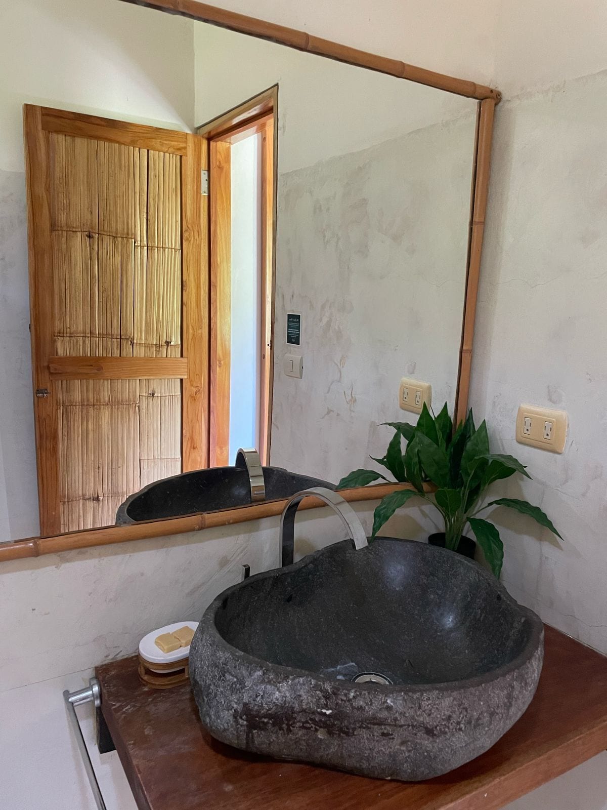 A bathroom with a large mirror, a stone basin, a wooden door, and a potted plant.