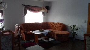 TV, DVD player, books, video library