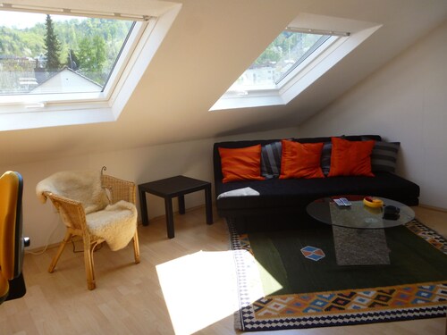 Ferienwohnung im Dachgeschoss in zentraler Lage in Neckargemünd