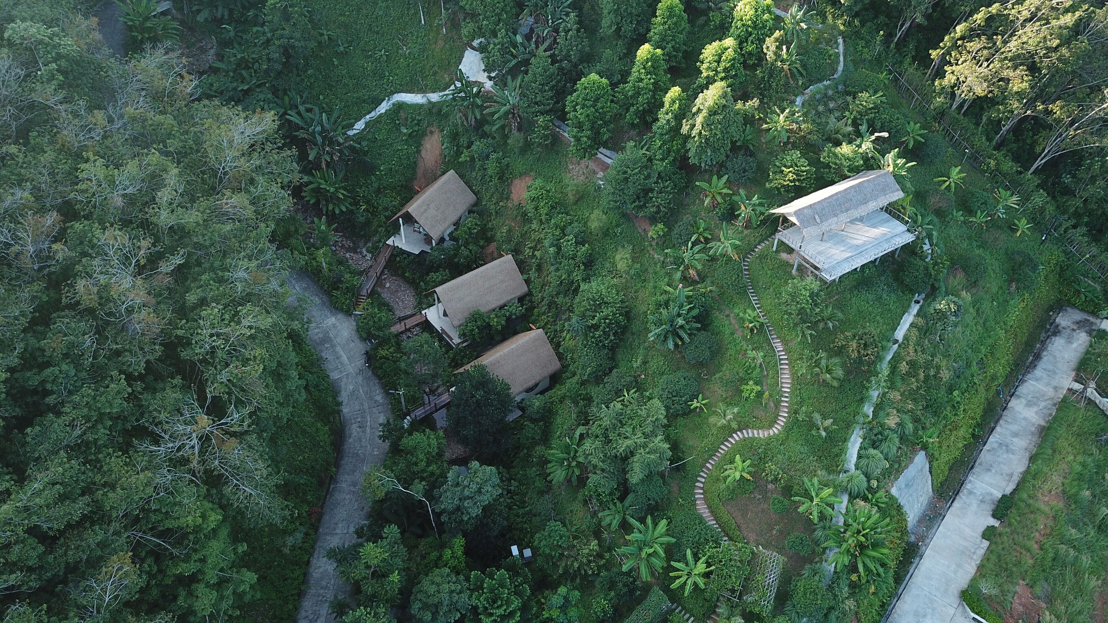 An aerial view of a lush, green area with a few buildings, including a house with a thatched roof and a larger structure with a metal roof.