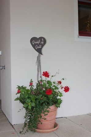 Dettaglio esterni