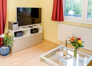 Smart TV, DVD player, books, stereo