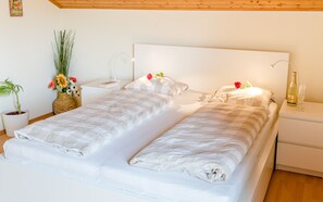 3 bedrooms, iron/ironing board, free WiFi, bed sheets - Vacation apartment with 360° panoramic mountain view (Spital am Pyhrn)