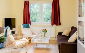 Älytelevisio, DVD-soitin, kirjoja, stereot