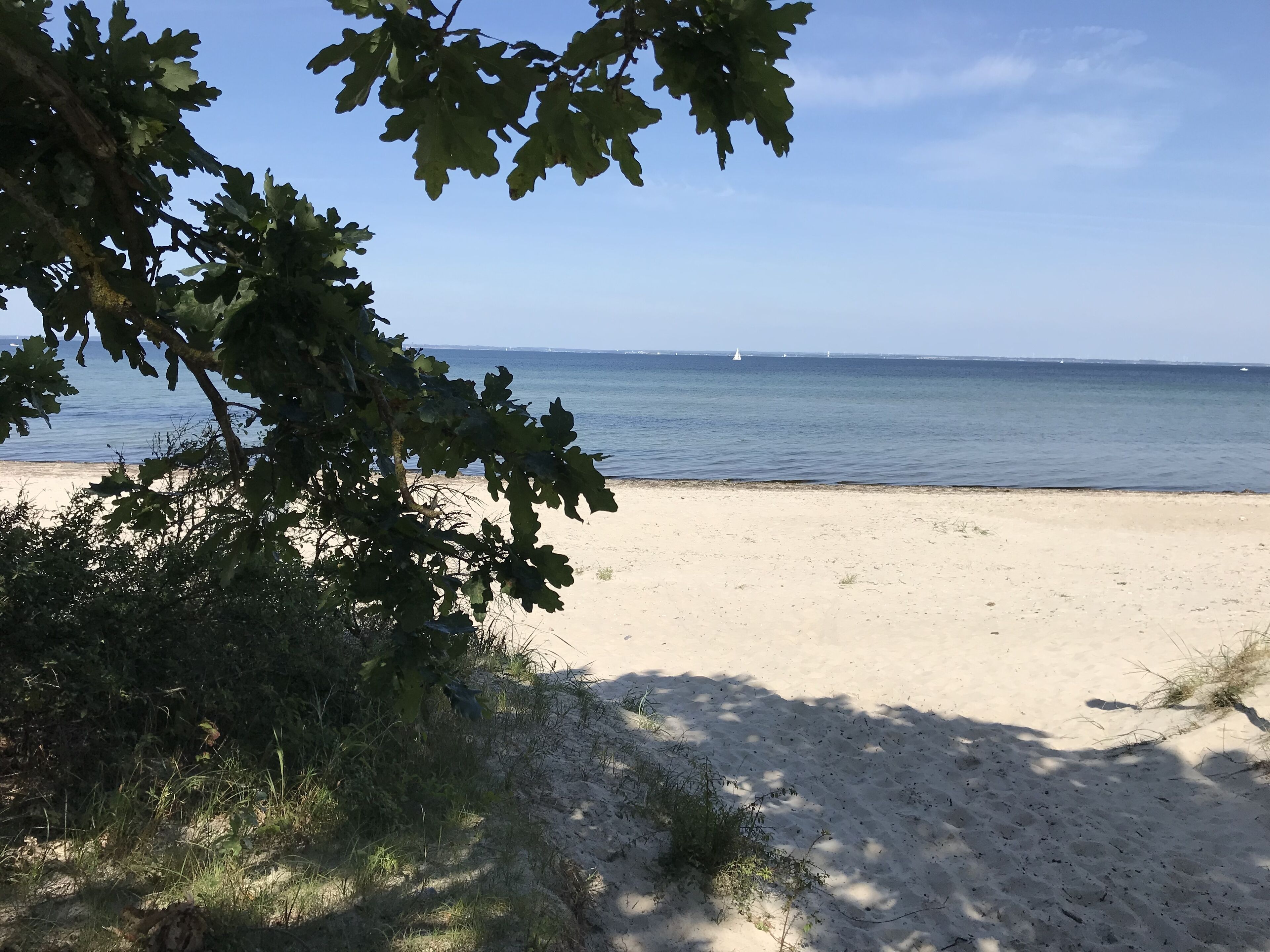 In Strandnähe