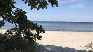 En strand med klar himmel och stilla vatten.