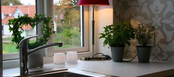 Beach rose, lejlighed til at føle sig godt på første sal, gratis Wi-Fi, strand stol