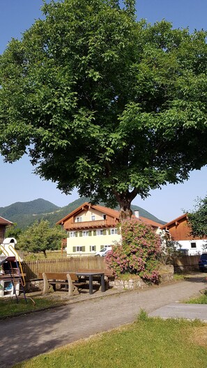 Speisen im Freien