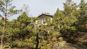 Un edificio rodeado de densos pinos.