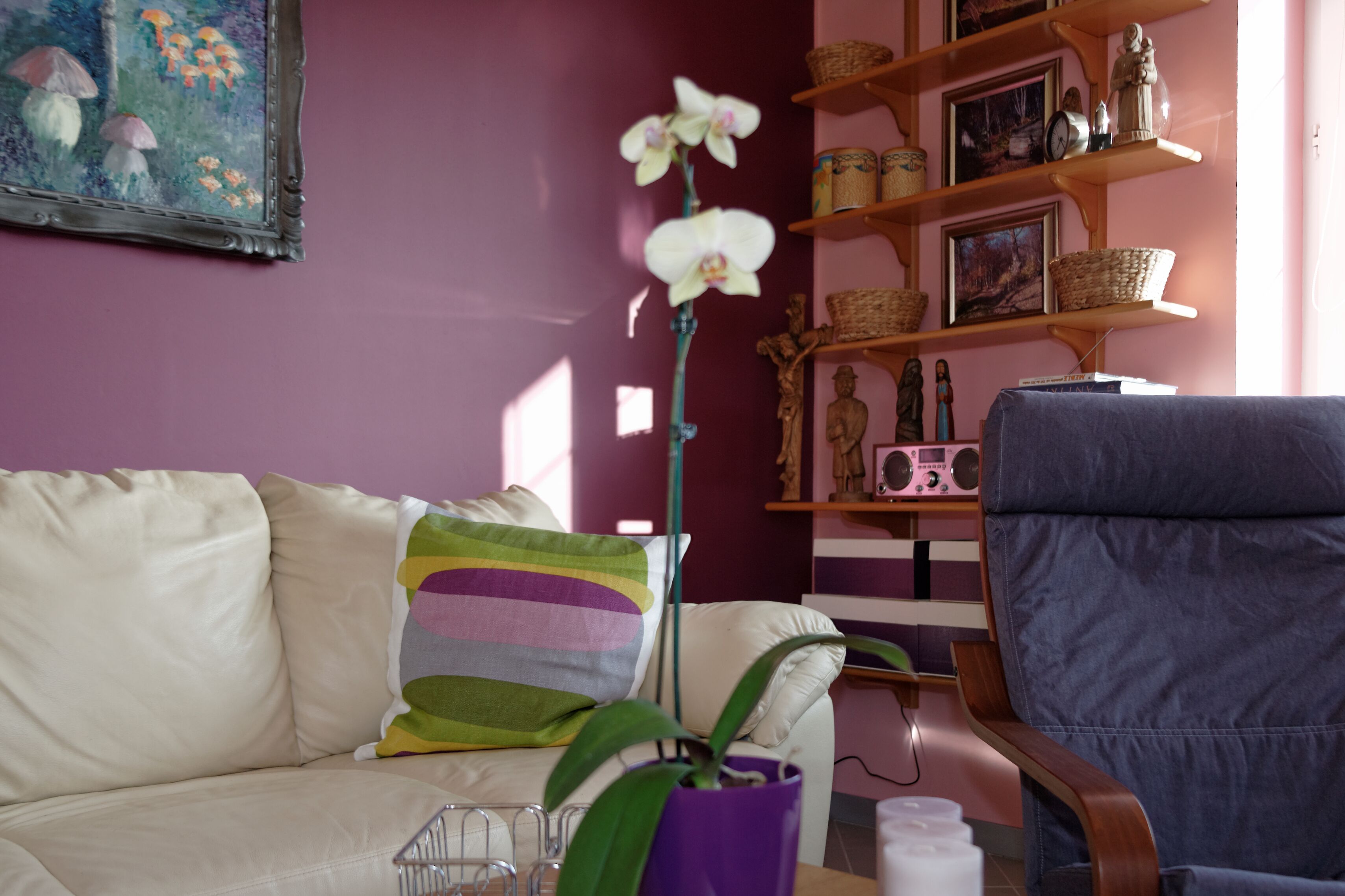 Smart TV, reproductor de DVD y libros 