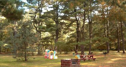 Catskill Motor Court Motel