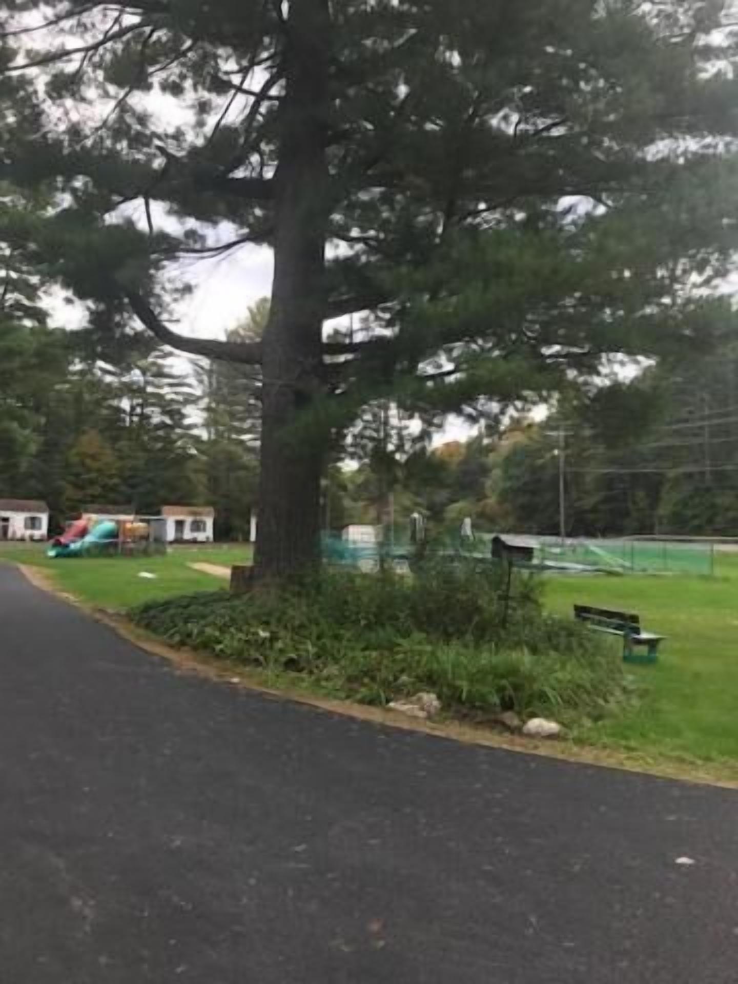 A paved pathway with a bench and a playground in the background.